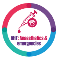 Khula AHT Anaesthetics and emergencies