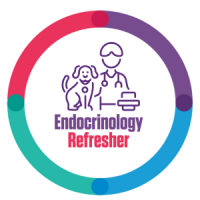 Khula Endocrinology Refresher